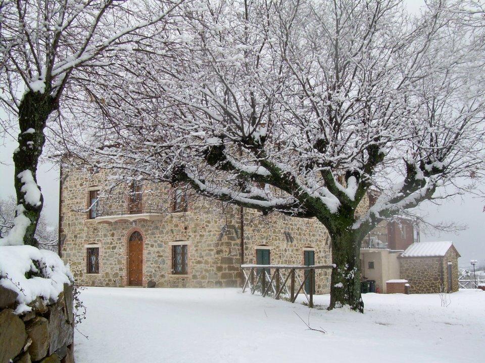 Agriturismo D' Epoca La Marianella Catabbio Extérieur photo